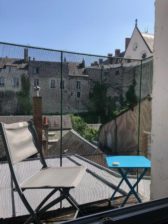 Cote Chateau - Grand Appartement Au Coeur De Blois Luaran gambar