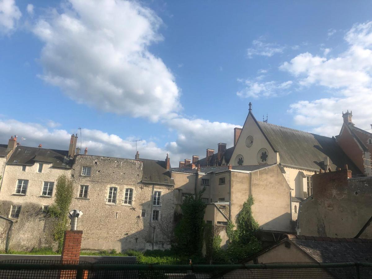 Cote Chateau - Grand Appartement Au Coeur De Blois Luaran gambar