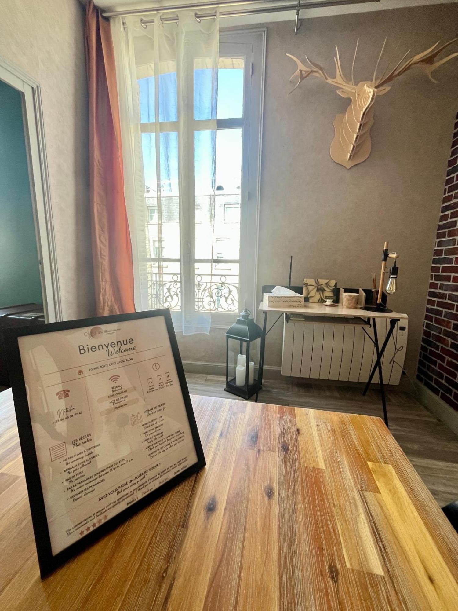 Cote Chateau - Grand Appartement Au Coeur De Blois Luaran gambar